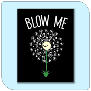 blow me